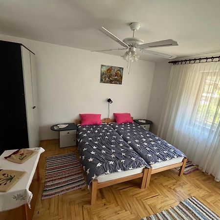 Apartman Velojic 下米拉诺瓦茨 外观 照片