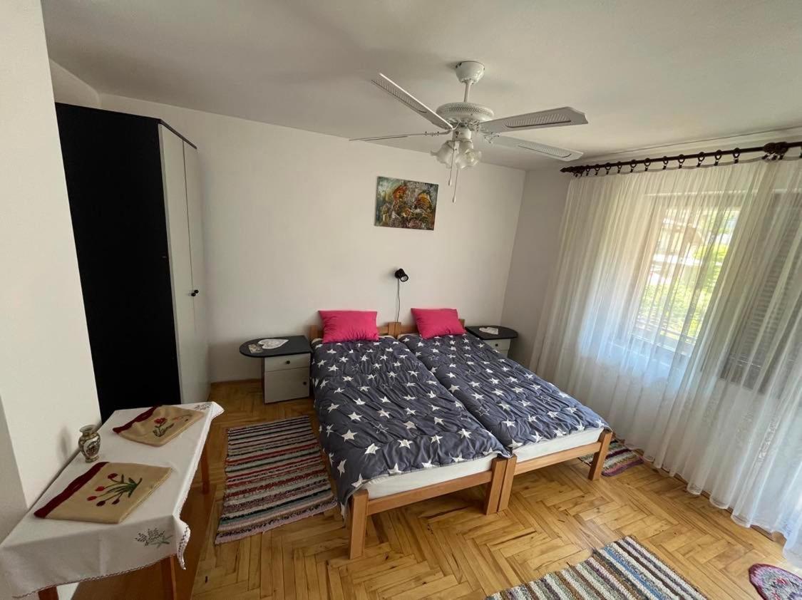 Apartman Velojic 下米拉诺瓦茨 外观 照片